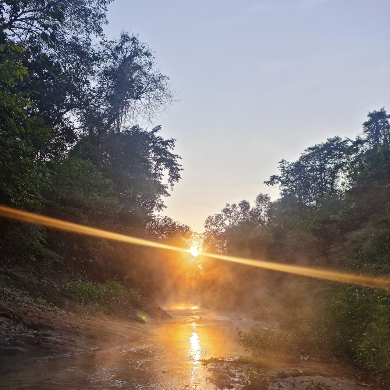 Dawn on the river at Ampiri: the sun low between the trees and steam lifting off the water.