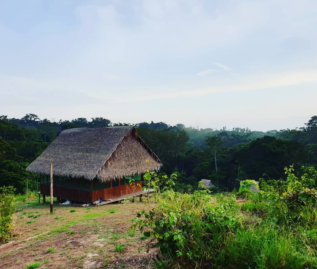 Thatched hut on hillside, at Ampiri.