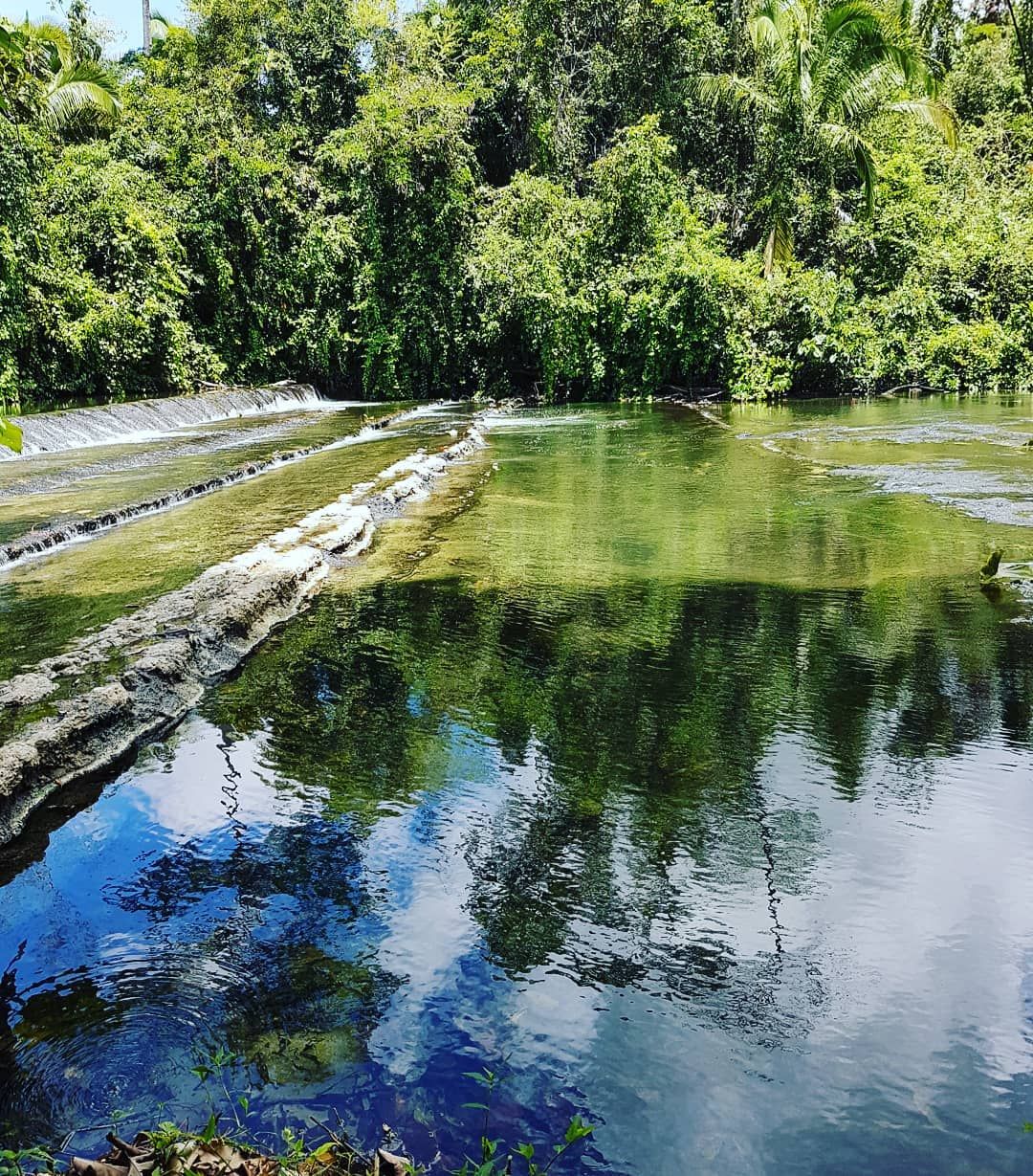 Pond with reflections, at Ampiri.