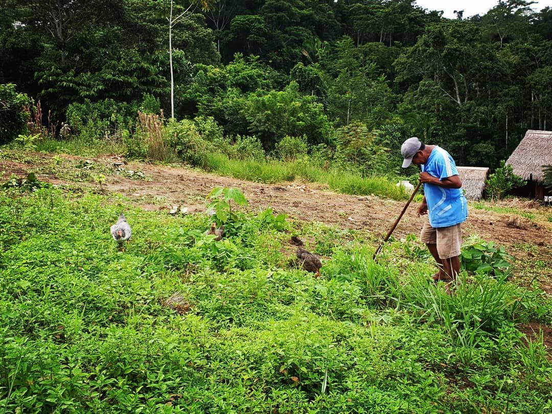 Person clearing field, tiny, from distance, at Ampiri.