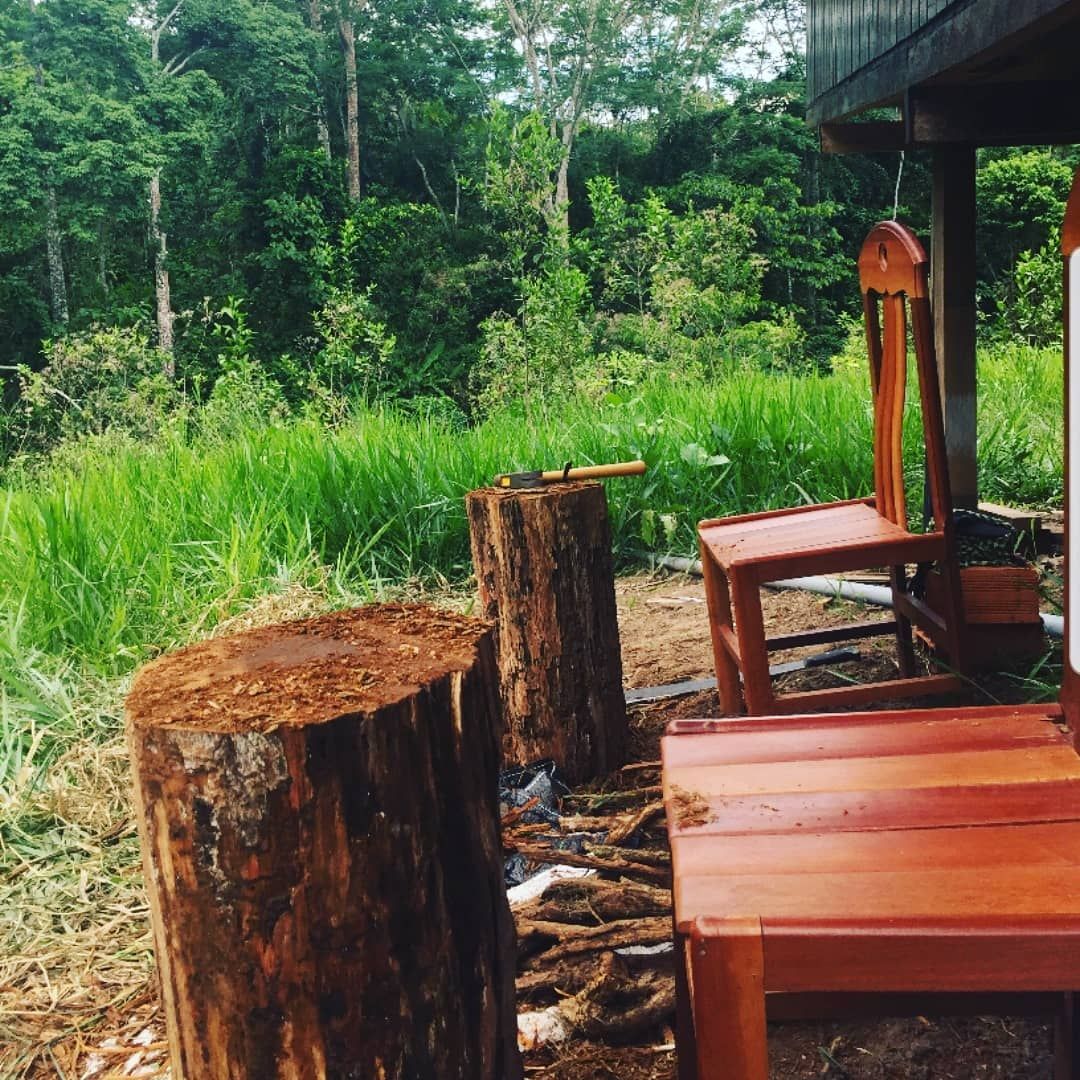 Tree stump and wooden bench, at Ampiri.