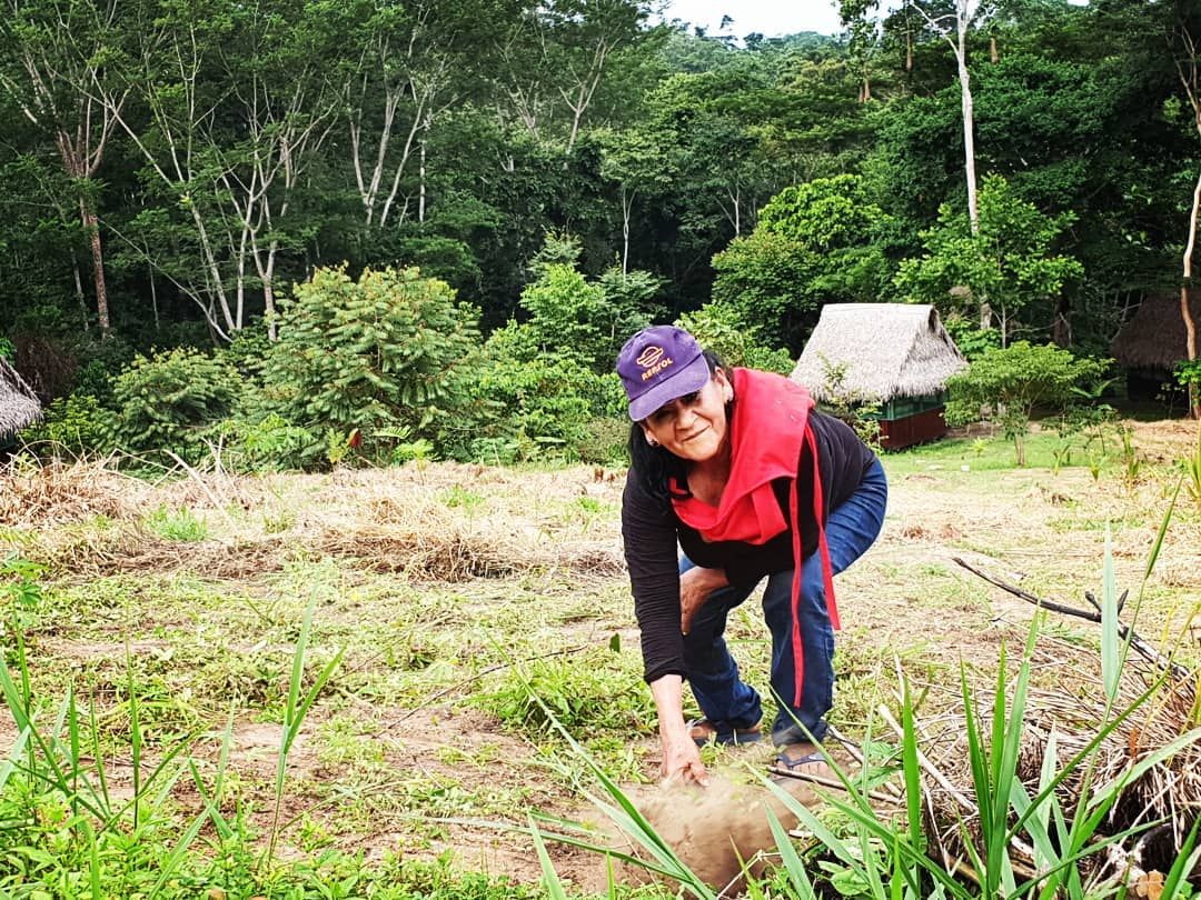 Person bending in field, from side, small, at Ampiri.