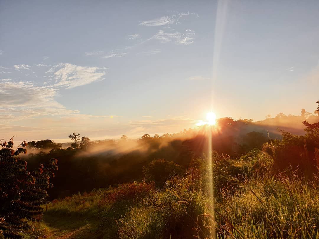 Sunset over field, at Ampiri.