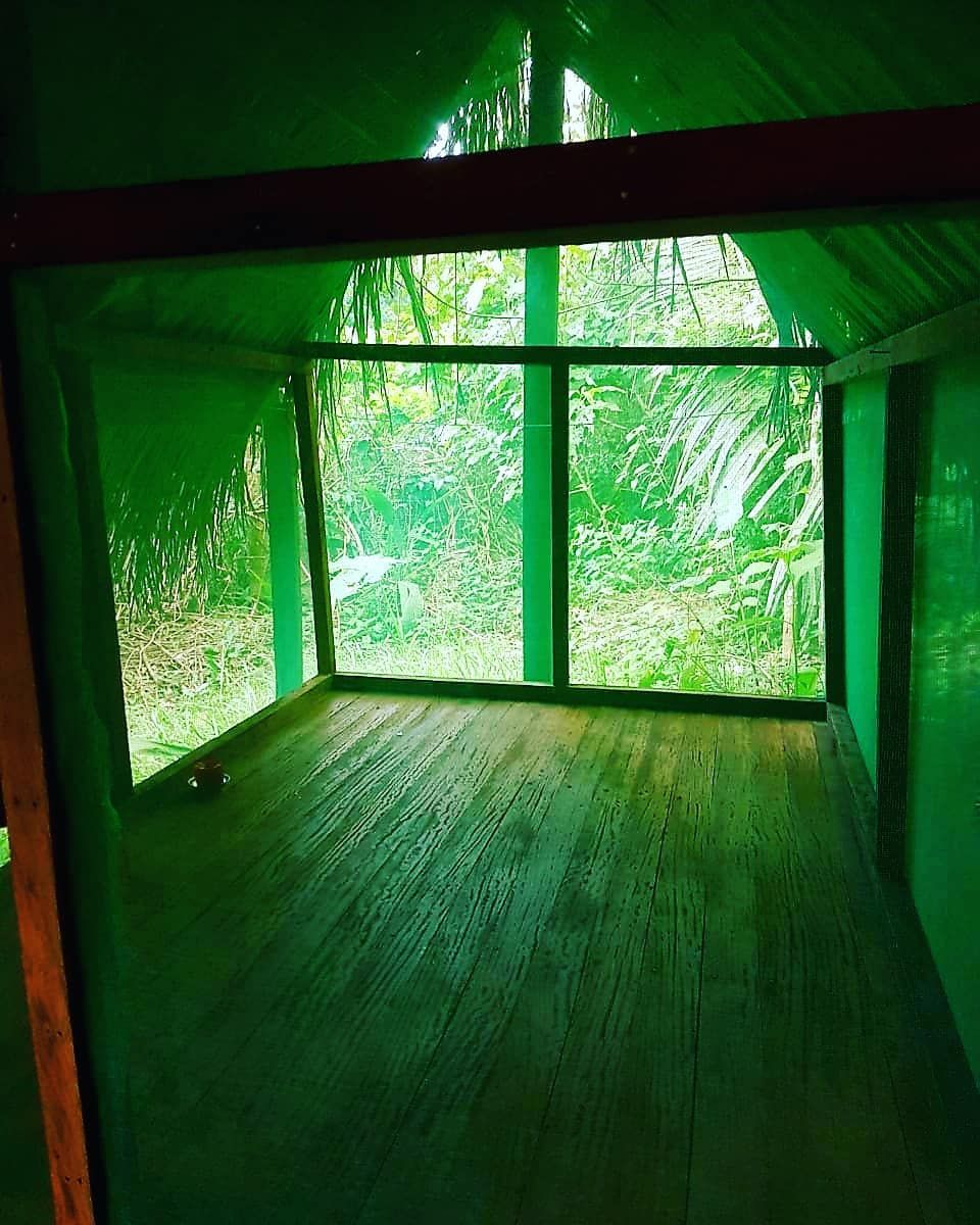 Green-walled room with window, at Ampiri.