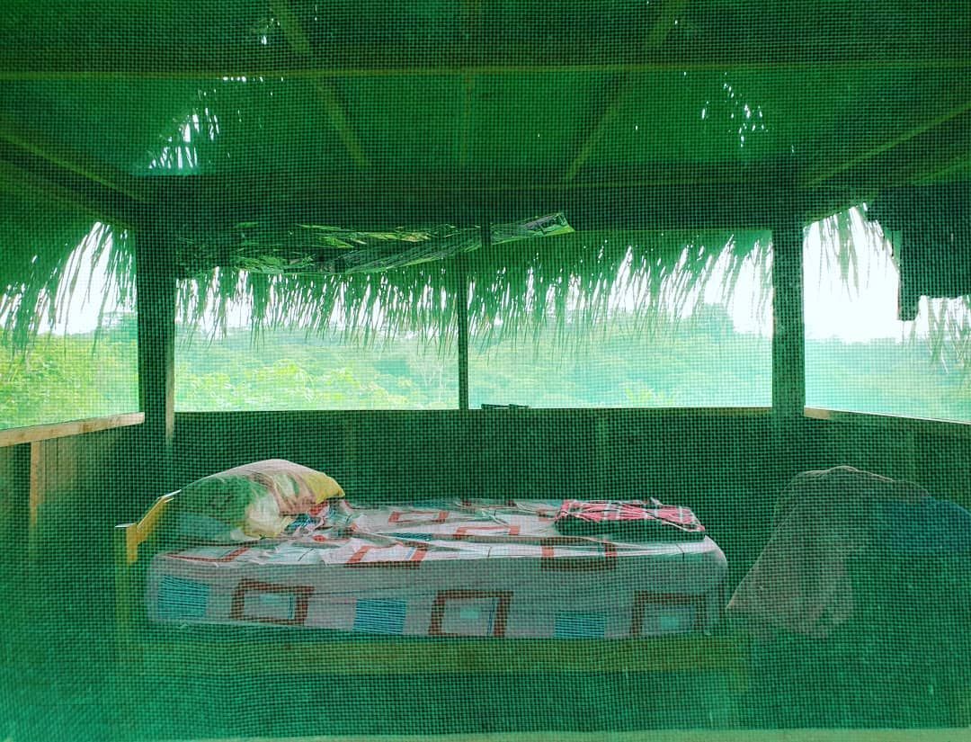 Green room with bed, at Ampiri.