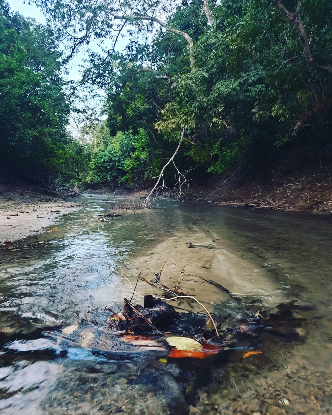 River sand bank, at Ampiri.