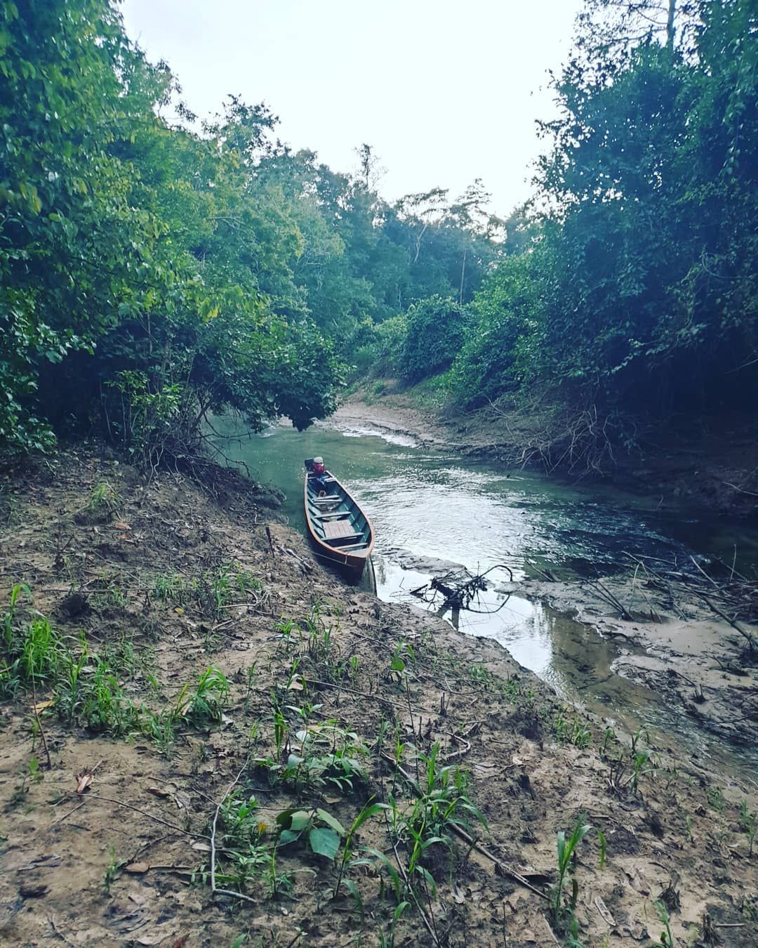 River bank with forest, at Ampiri.