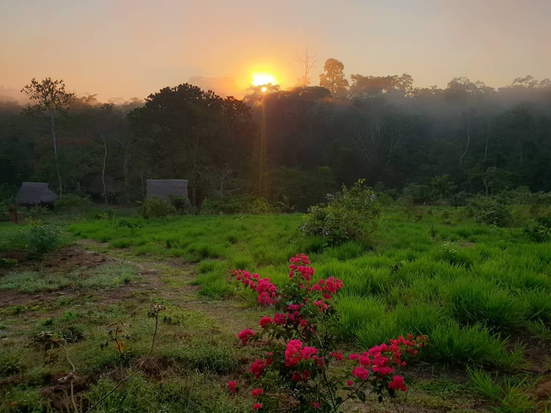 Field with red flowers, at Ampiri.