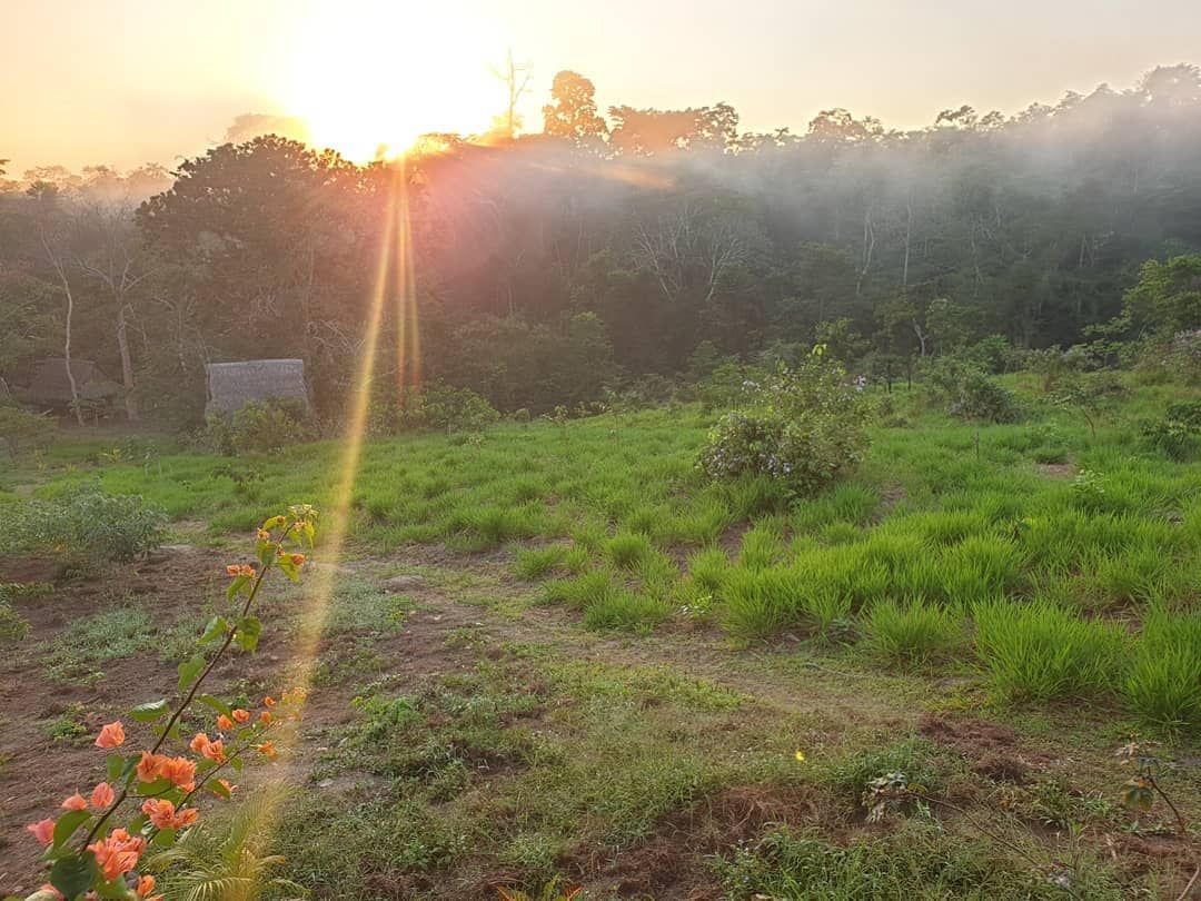 Sunrise over field, at Ampiri.