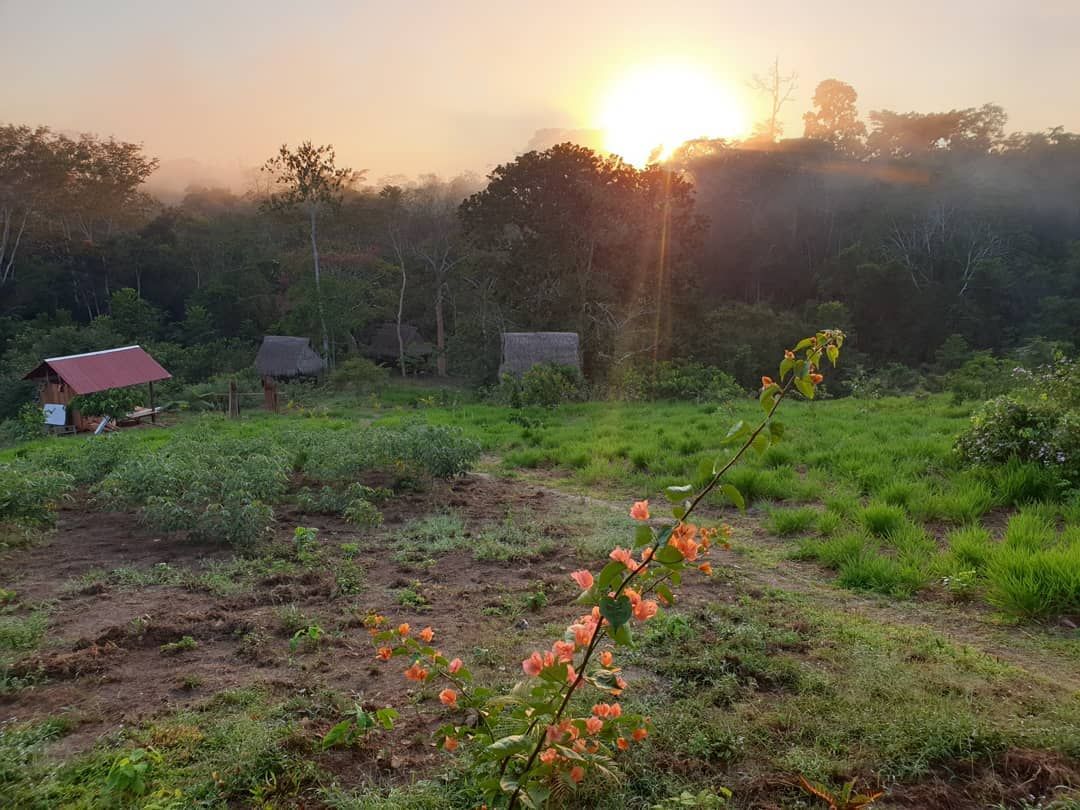 Sunrise over field with huts, at Ampiri.