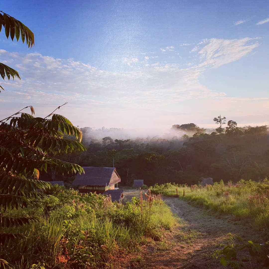 Hut in morning mist, at Ampiri.