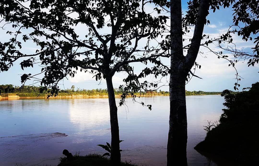 Lake with trees, at Ampiri.