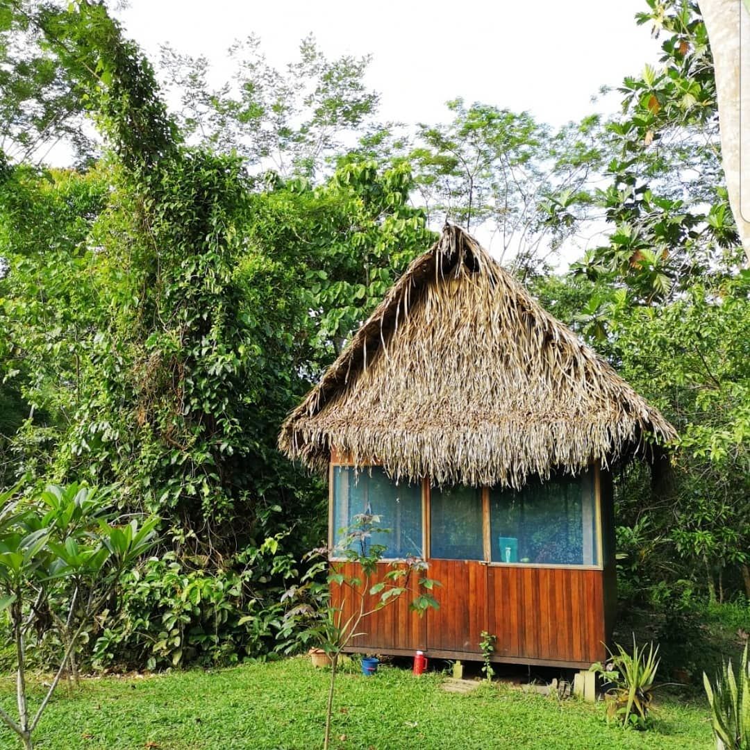 Hut in grass, at Ampiri.