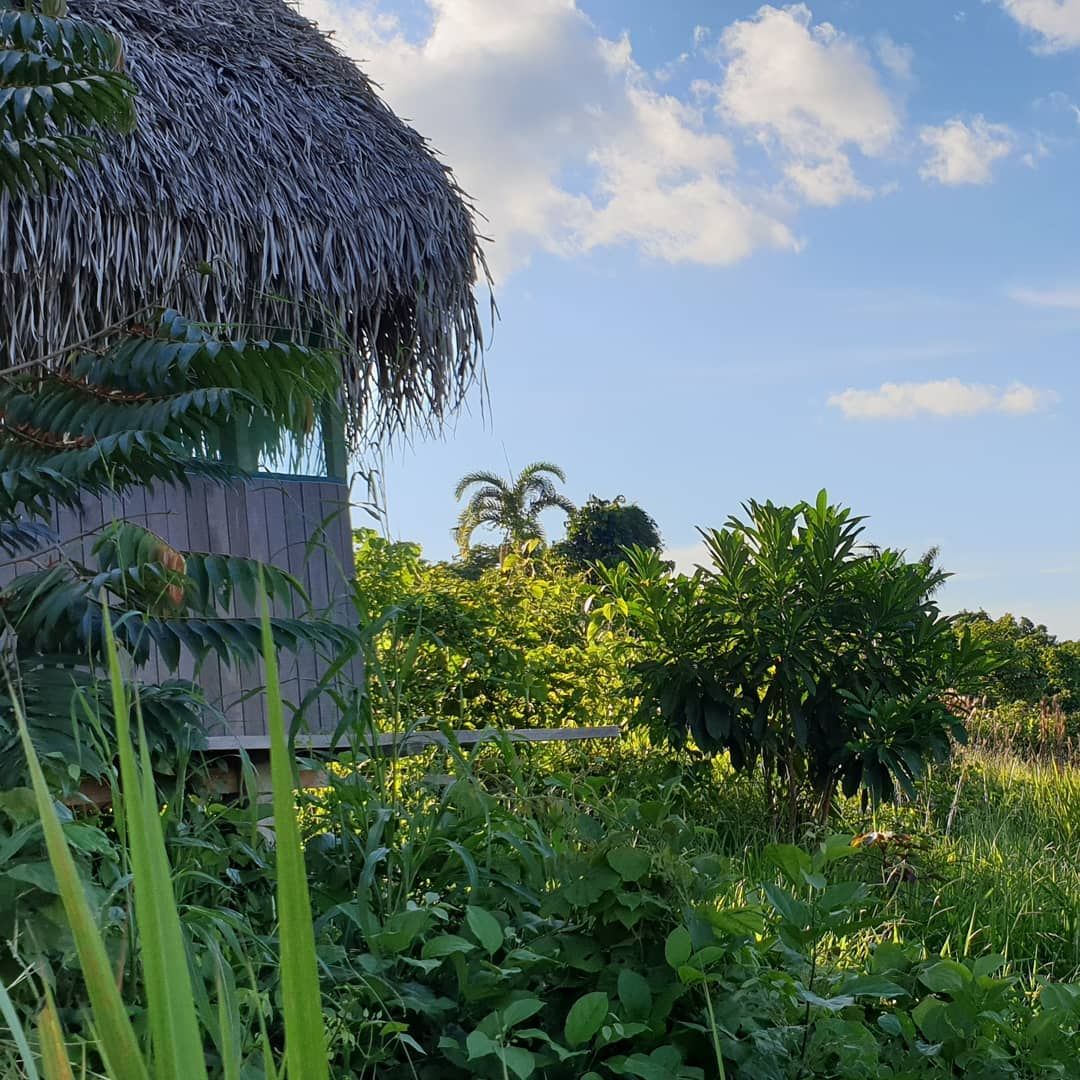Hut under sky, at Ampiri.