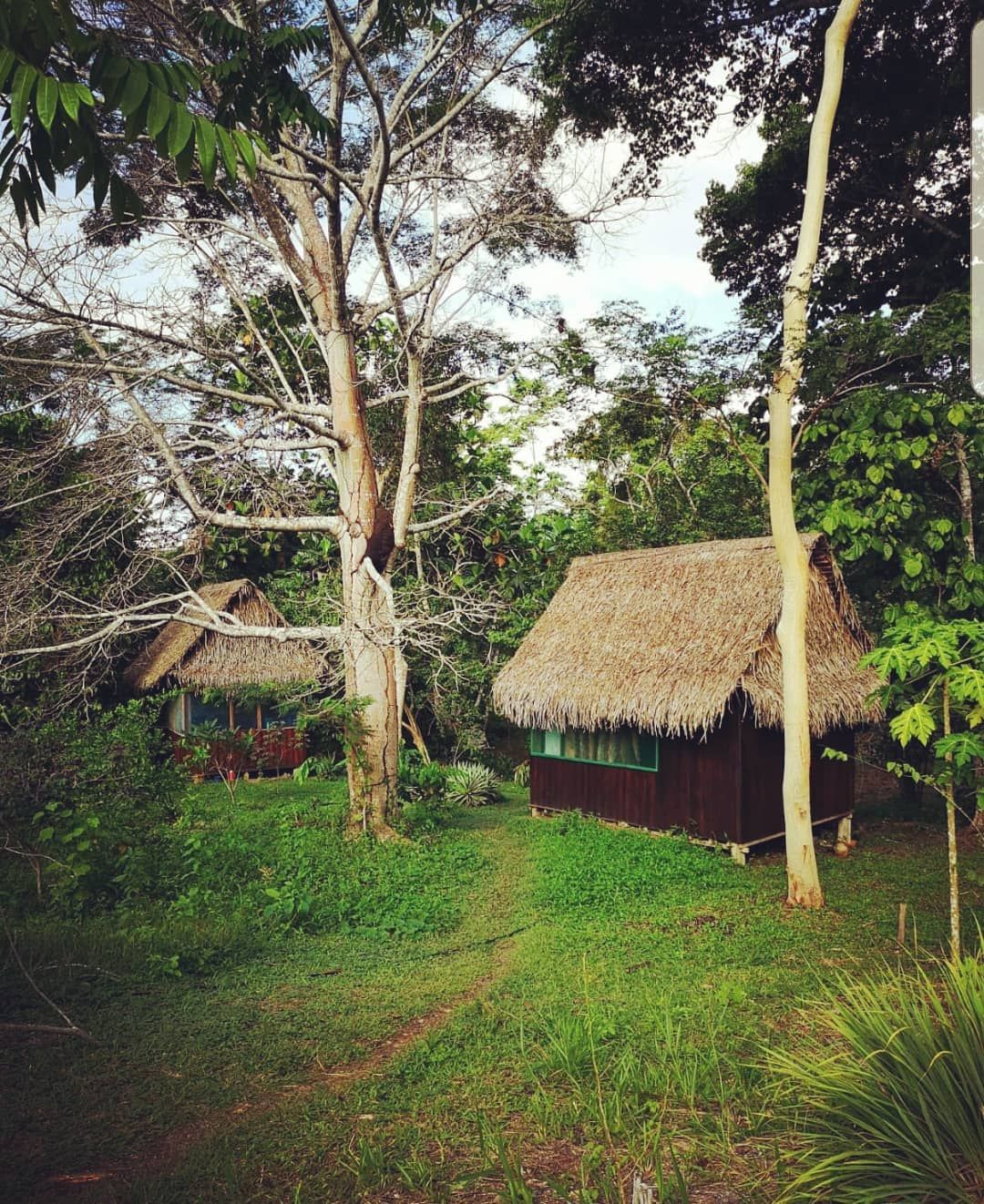 Hut among trees, at Ampiri.
