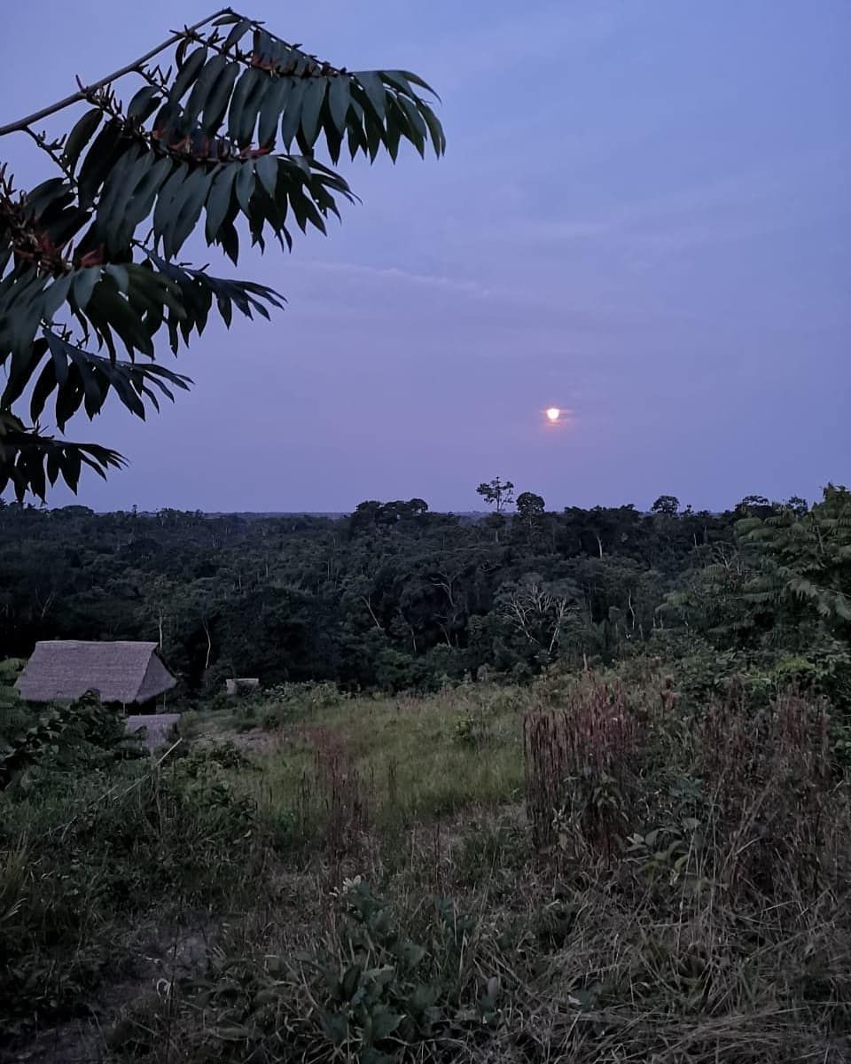 Dusk field, at Ampiri.