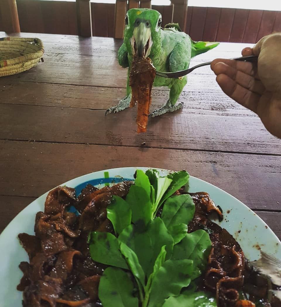 Hand with plate of leaves, at Ampiri.