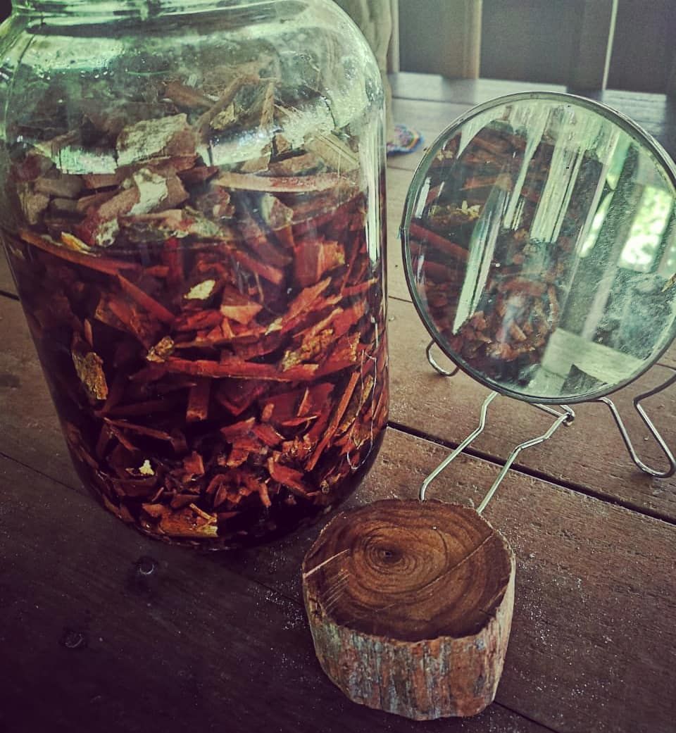 Jar of preserved plants, at Ampiri.