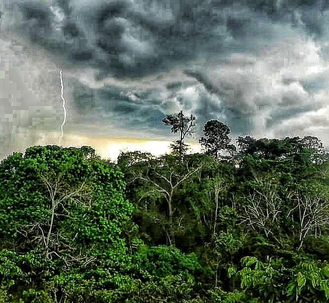 Storm clouds over forest, at Ampiri.