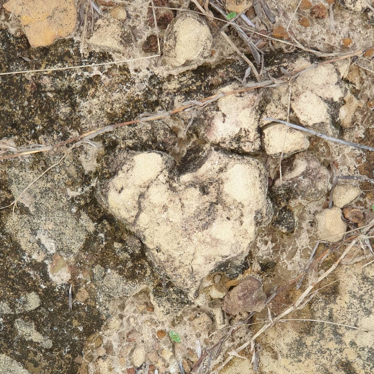 Heart pattern on ground, at Ampiri.