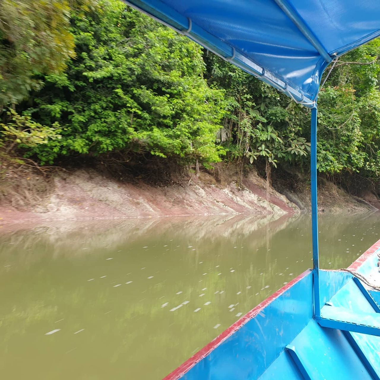 River from boat, at Ampiri.
