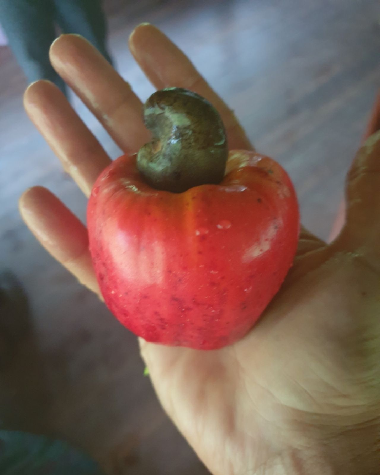 Fruit held in hand, at Ampiri.