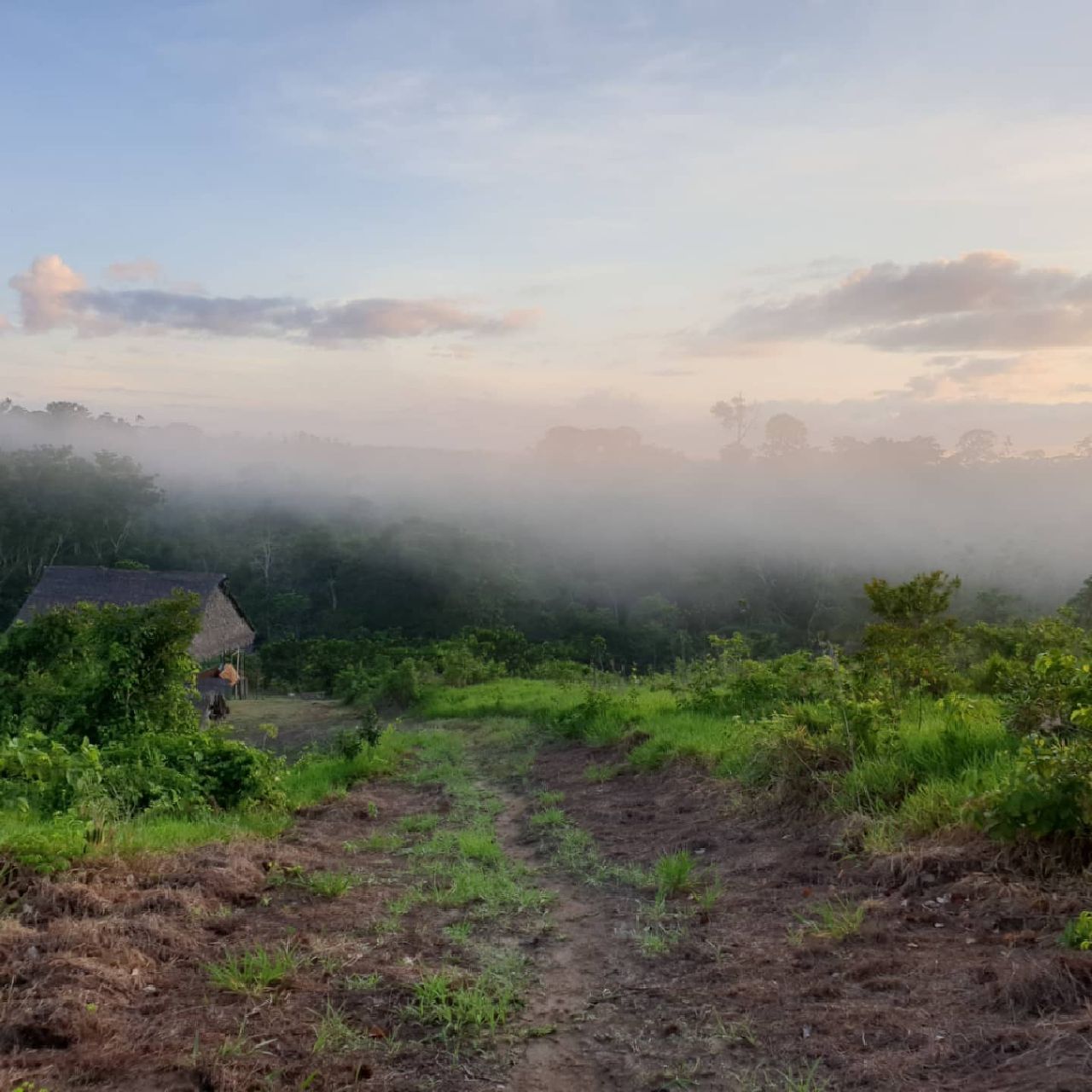 Misty landscape, at Ampiri.