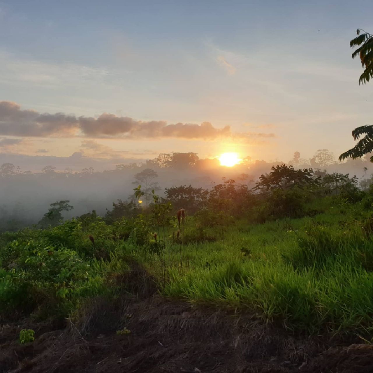 Sunrise over hills, at Ampiri.