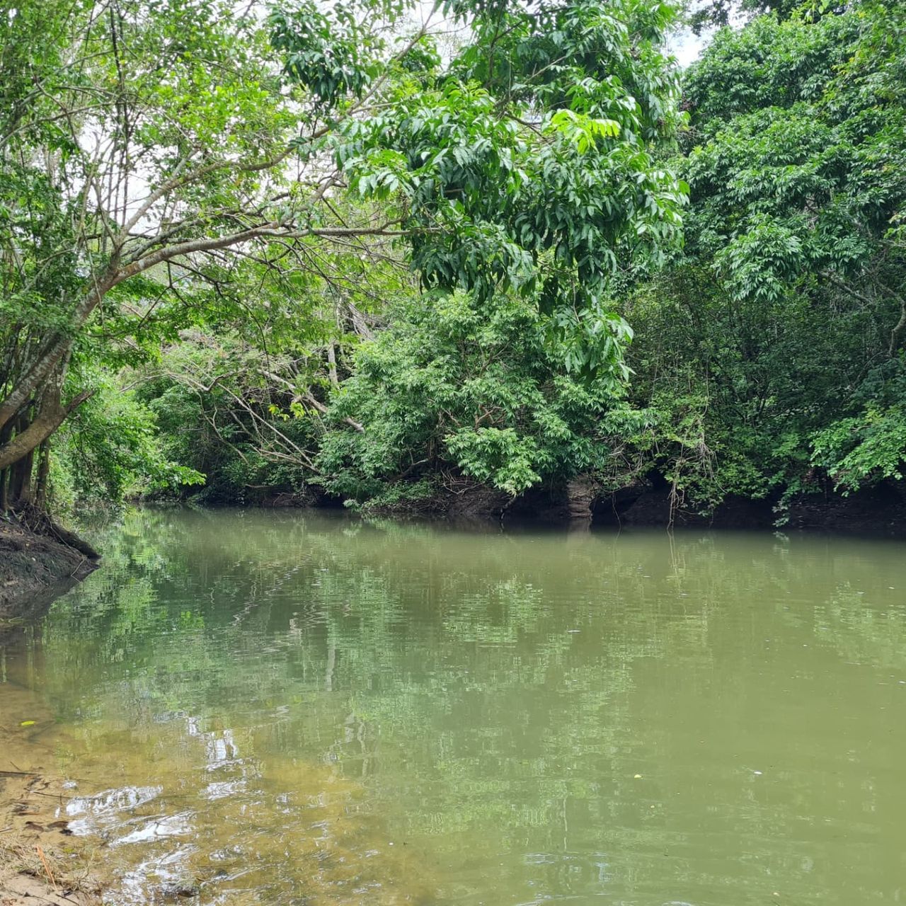 River, at Ampiri.