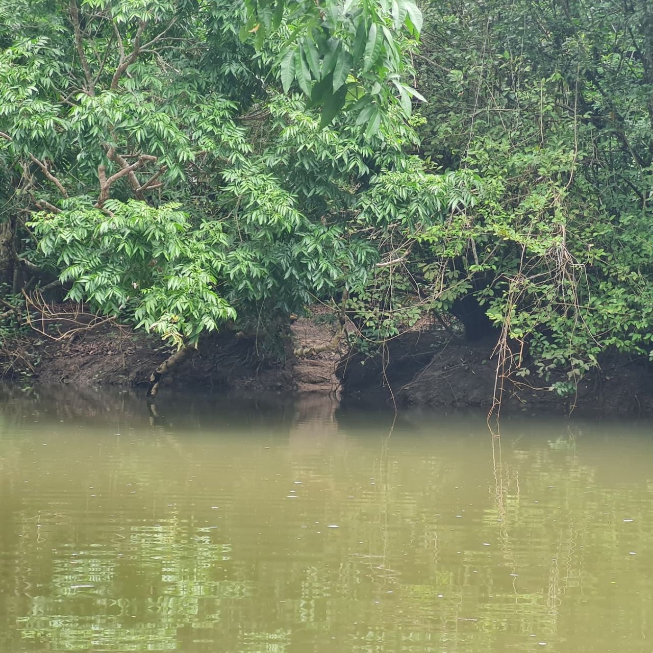 River, at Ampiri.
