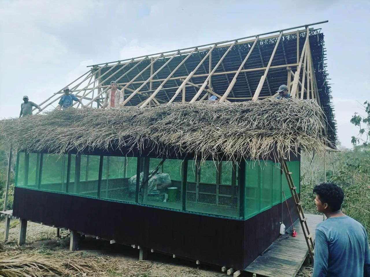 Building with thatch, at Ampiri.