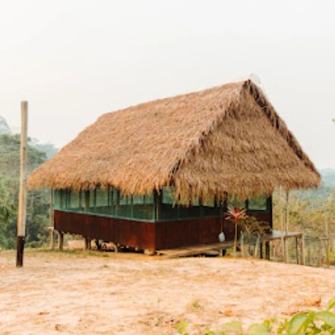 Thatch hut, at Ampiri.