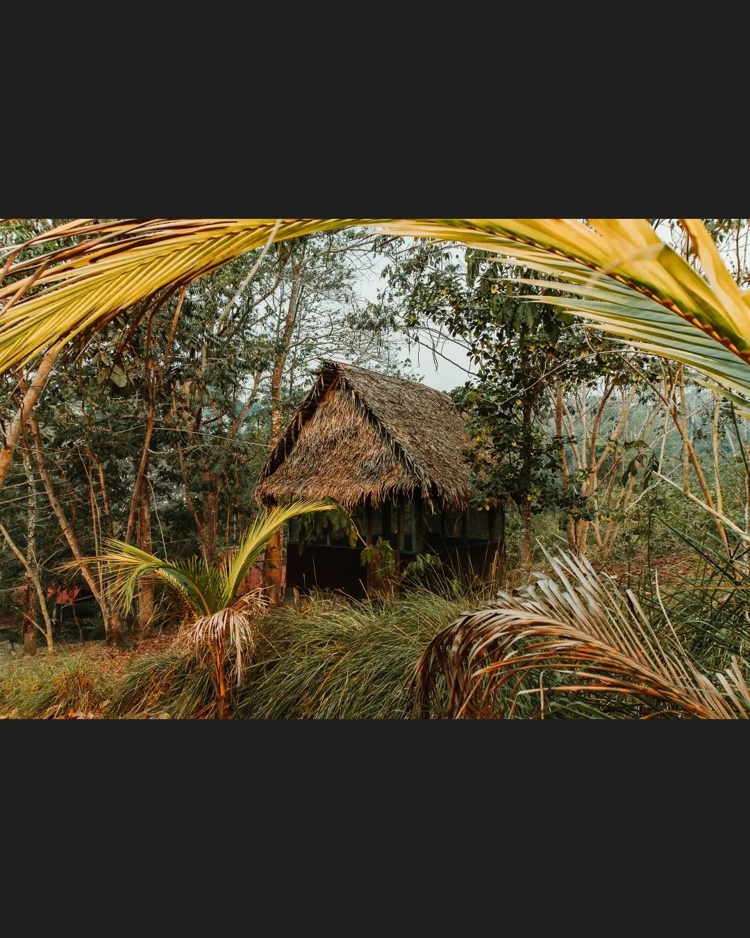 Hut through frame, at Ampiri.