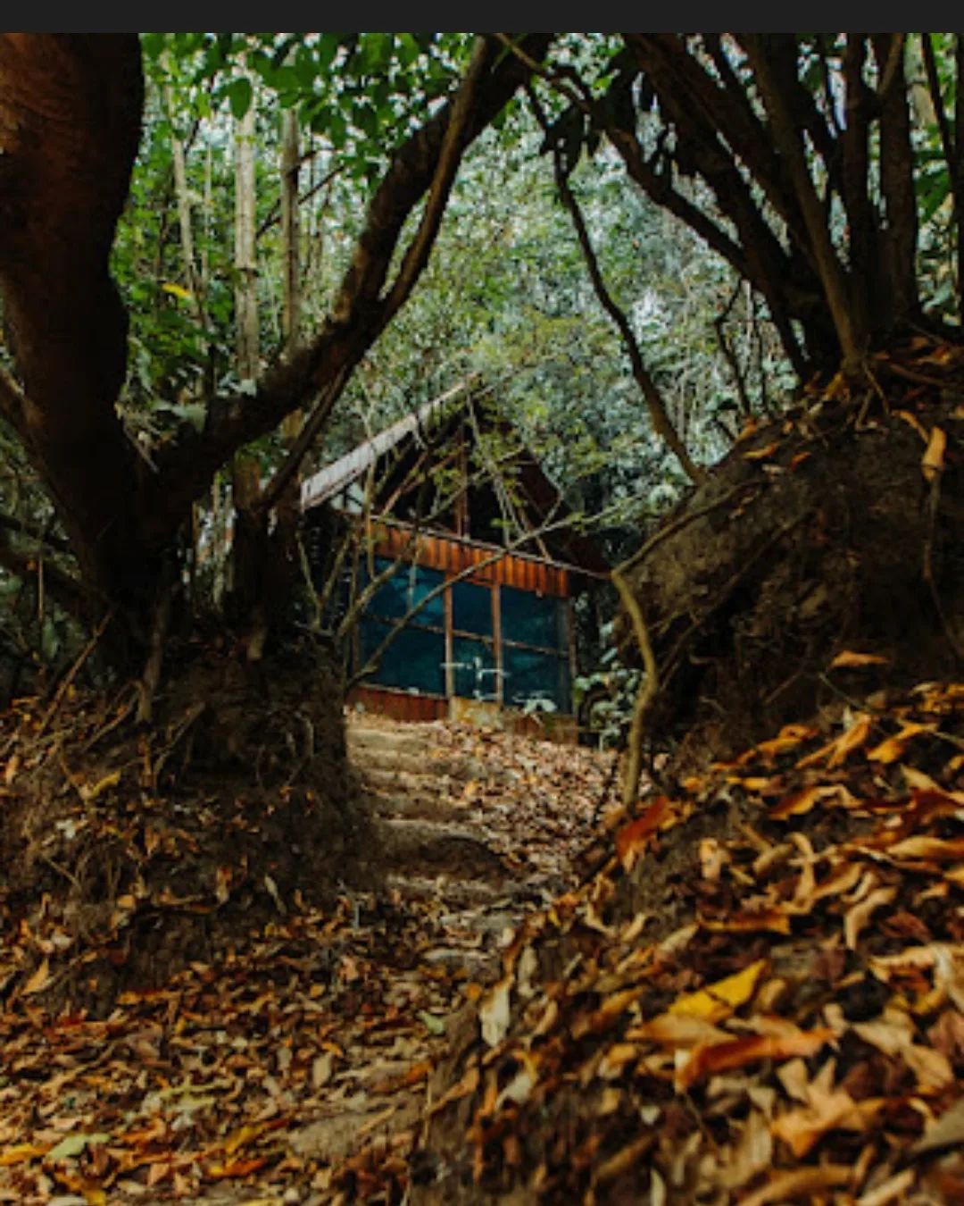 Hut in forest, at Ampiri.