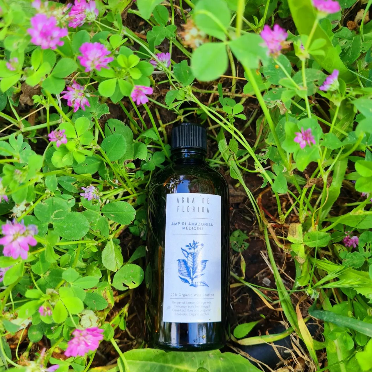Bottle among flowers, at Ampiri.