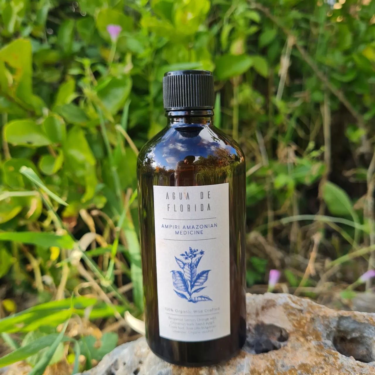 A bottle of Ampiri's Agua de Florida on a rock among leaves.