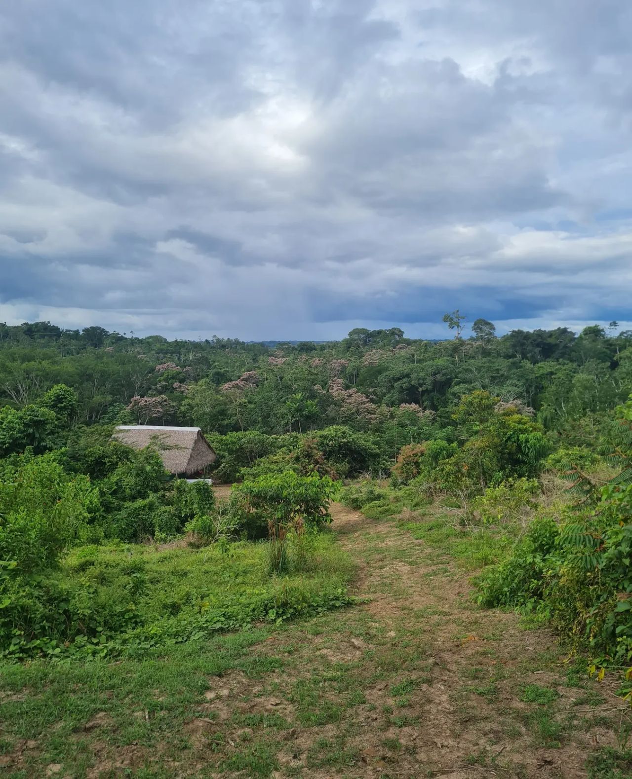 Landscape, at Ampiri.