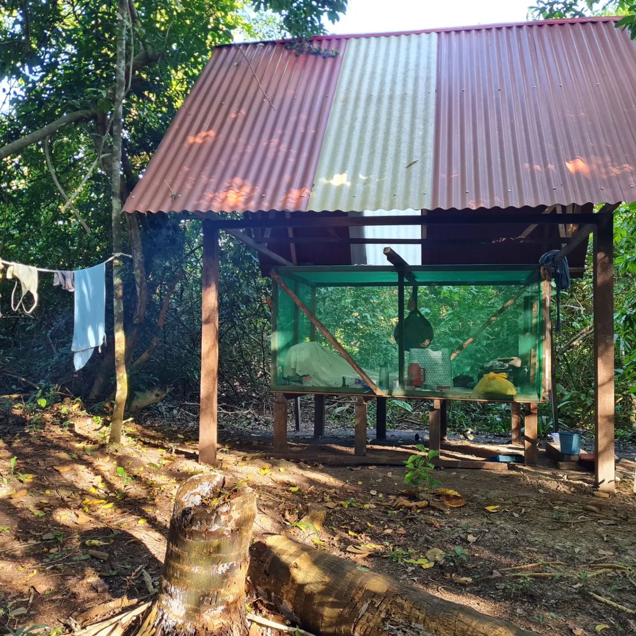 Hut, at Ampiri.