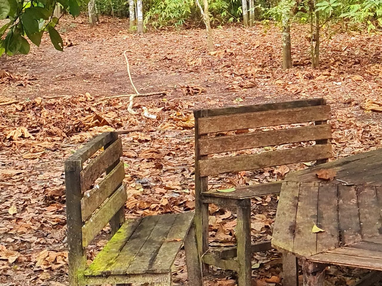 Wooden chair, at Ampiri.