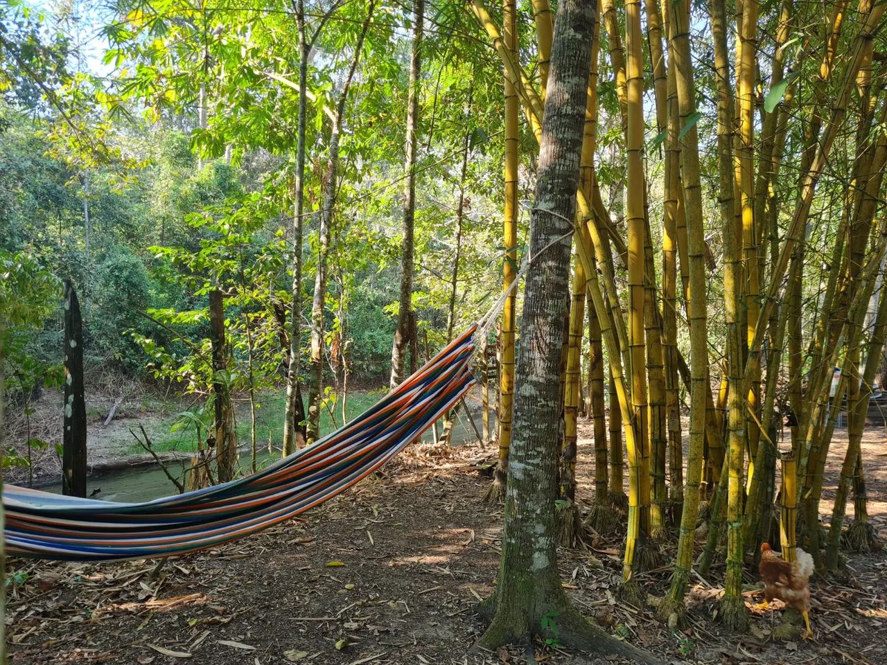 Hammock, at Ampiri.