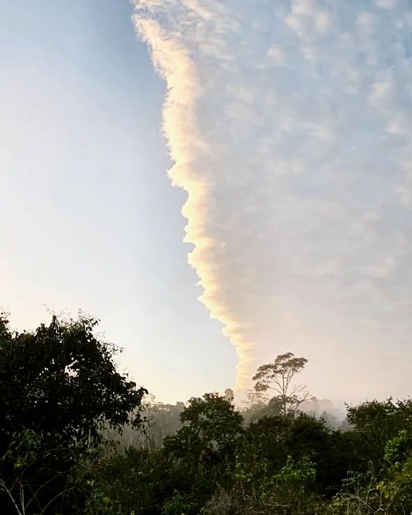 Smoke plume over tree line, at Ampiri.