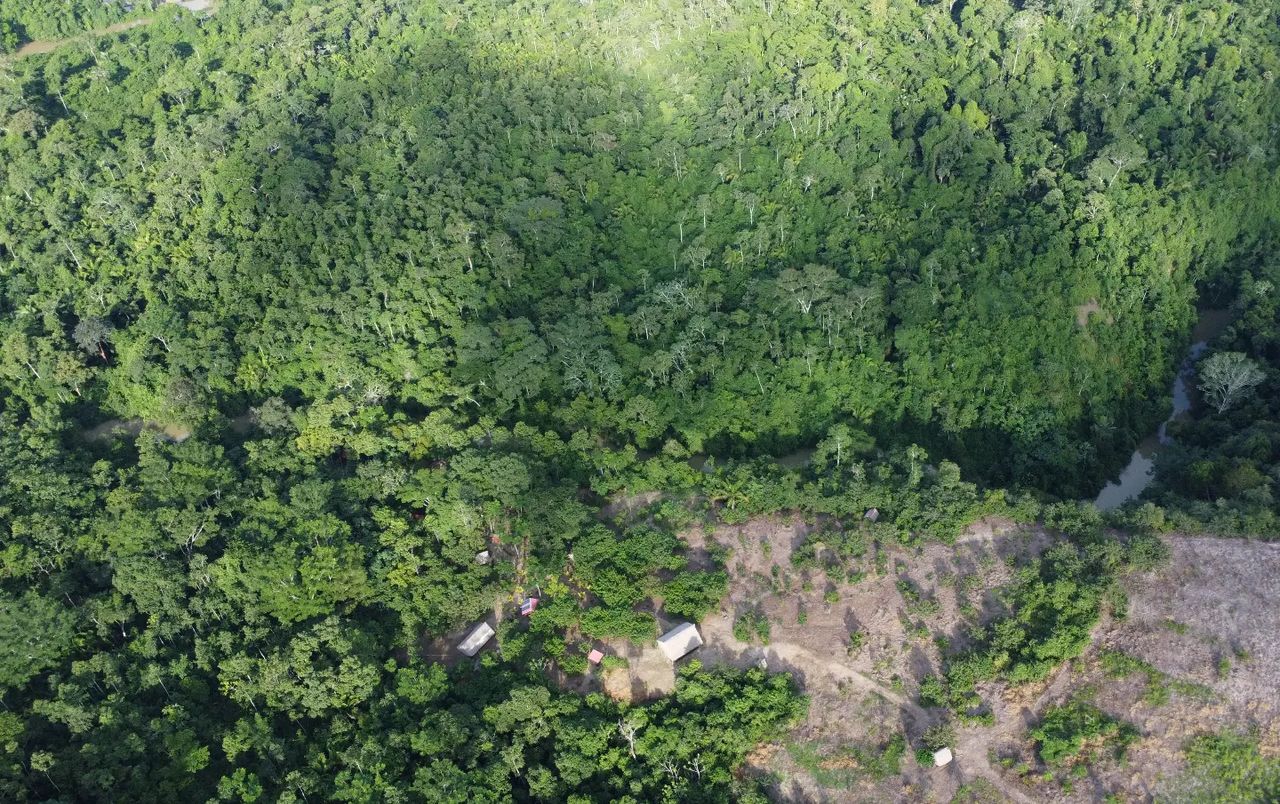 Aerial forest, at Ampiri.