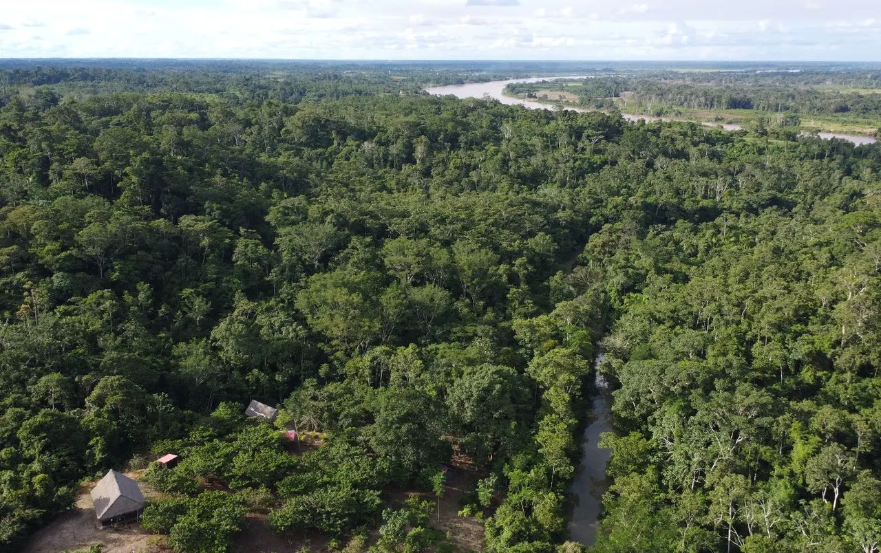 Aerial forest and river, at Ampiri.