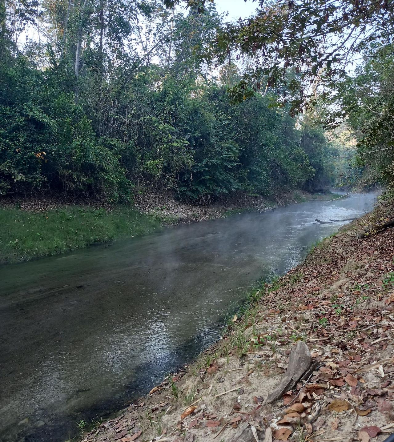 River bank, at Ampiri.