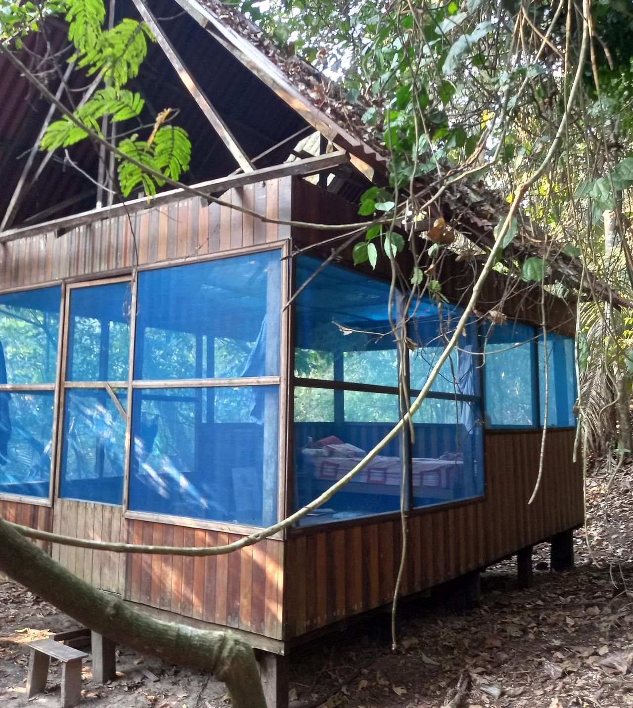 Glass-walled cabin in forest, at Ampiri.