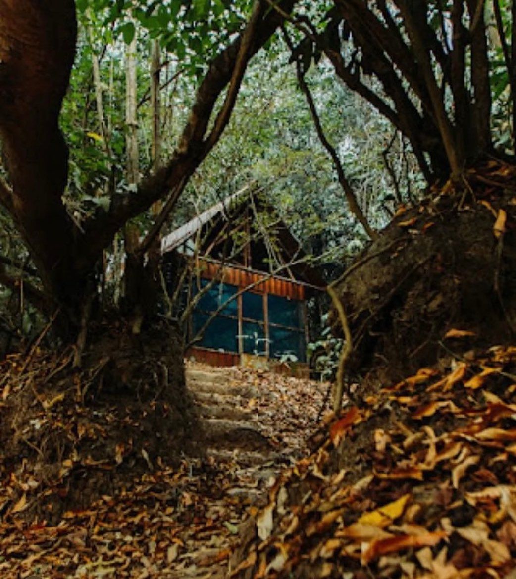Hut under trees, at Ampiri.