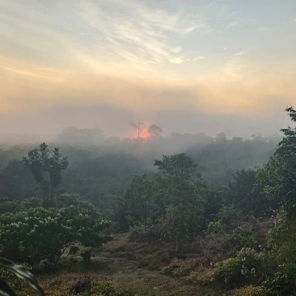Misty landscape, at Ampiri.