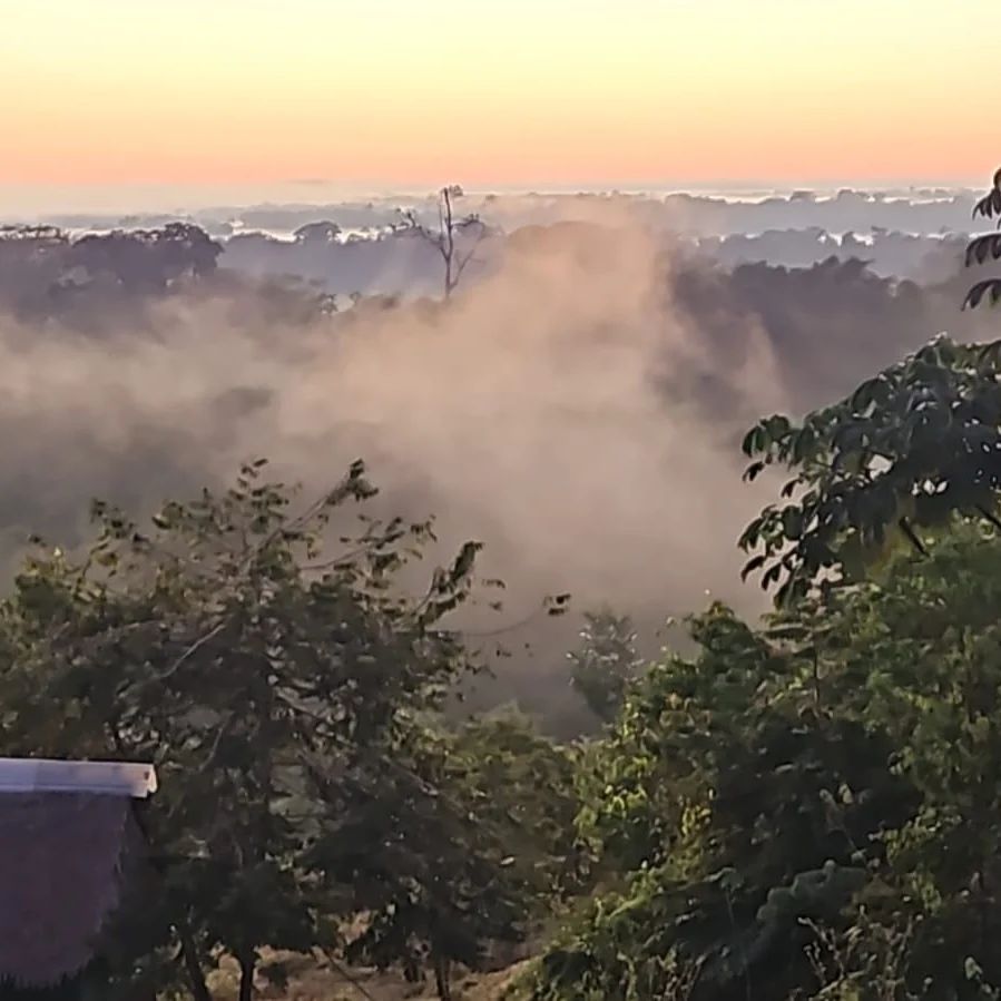 Misty forest, at Ampiri.