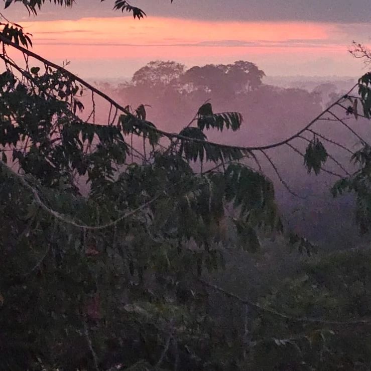 Misty forest at sunset, at Ampiri.