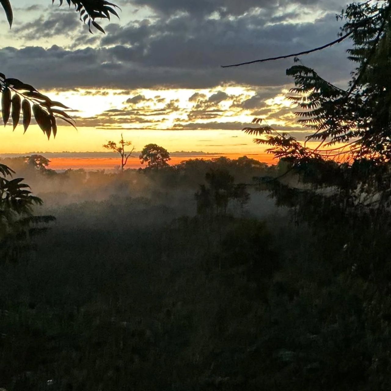 Sunset through forest, at Ampiri.